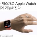 Apple Watch 손쉬운 사용 이미지