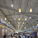 (주)도울정보기술 | 세부오슬롭 고래상어 모알보알 캐녀닝 투어 패키지 가격 자유여행 3박5일 일정 4인숙소 추천