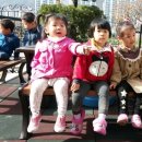 매화숲유치원 이미지