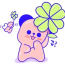 호스텔 케이팝 이미지