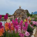 승화농장 이미지