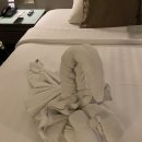 The 가까운약국 | [발리 6박 8일] 신혼여행 패키지 2월말 우기 시즌 (반하나투어 부산)