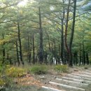 블루로드