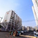 세광아파트공원 이미지