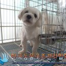 초성초등학교 이미지