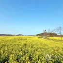 부안 줄포만 노을빛 정원 축구장 연합뉴스