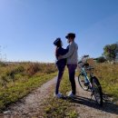 만경강 사수정 이미지