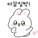 보니따스튜디오 이미지
