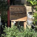 브니엘플라워 이미지