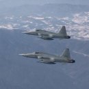 F-5 Daum카페