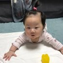 경민동물병원