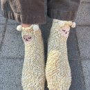 희선한의원 | 2026