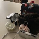 태현초등 | 16개월 인생 첫 비행기! (울산-김포) / 이모집으로 / 김포 모넬로키즈카페