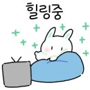 와플대학파주운정캠퍼스 네이버블로그