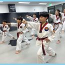 KTIGERS태권도장 이미지