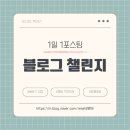 금손테라피 이미지