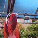 물돌이펜션리조트 이미지