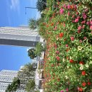 트럼프 정책이 정확..후에 미국의 3대 대통령으로 남을 것.. 이미지