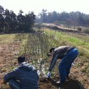 봉래농장 이미지