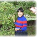 옹달샘꽃누름마을 이미지