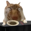 GR(대구광역시 달성군)-[국가산단서로]-하-8 | 다들출근때문에스트레스가많고나난걍스트레스가많다