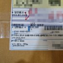 제주삼대약초