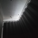 곽생로 여성의원 이미지