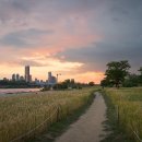 뚝섬한강공원-65 이미지