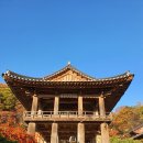 가나다악기 이미지