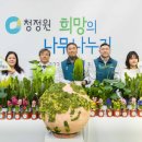 희망의 나무 이미지