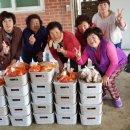 봉산나눔 톡톡뉴스