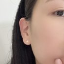 세마리네 | 남녀공용 실버귀걸이 추천 | 세마리 semari 순은귀걸이 후기