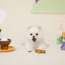 (주)다정 이미지