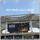 2025 뮤즈 내한공연 Muse live in Korea 지정석 P석 후기