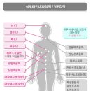 서울건강내과의원 이미지