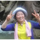 대서초교 이미지