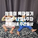 산철쭉어린이공원 이미지