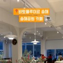 바토플루이르 송해 이미지