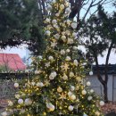 11545-10-12-17 | 플레이브 카페 ASTERUM 433-10, 12/17 후기