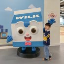 쇼미더펫 | 브레드이발소타운 시화점 경기도 시흥 대형 키즈카페 아이랑