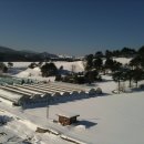 남선목장 이미지