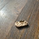 따스한 동물병원 | [천안 동물병원닥터스] 울 첫찌 별이 치과 기록