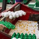 철원동물약품 이미지