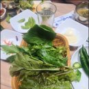 (주)안창마을 티스토리