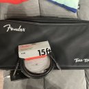 이익스프레션 | Fender 톤 마스터 프로에 사용할 익스프레션 페달 너로 정했다! [Hoton Ampero 2 Press]