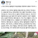 산복약수터 이미지