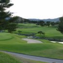 아이티스크린골프 이미지