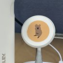 2월 17일 ~ 2월 23일 기록
