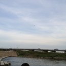 주항축산 이미지