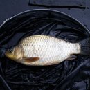 신천자연 낚시터 이미지